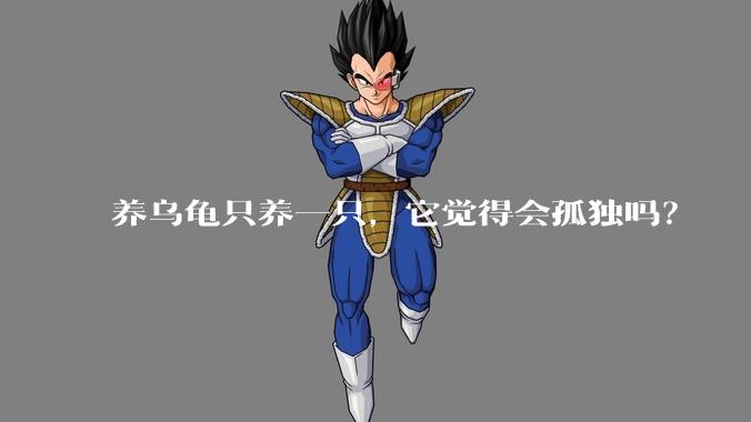 养乌龟只养一只,它觉得会孤独吗?