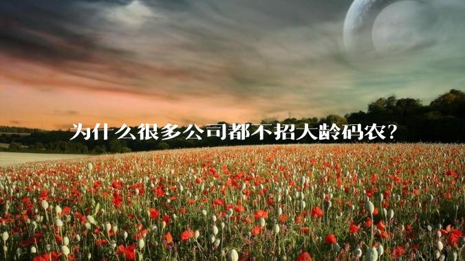 为什么很多公司都不招大龄码农?