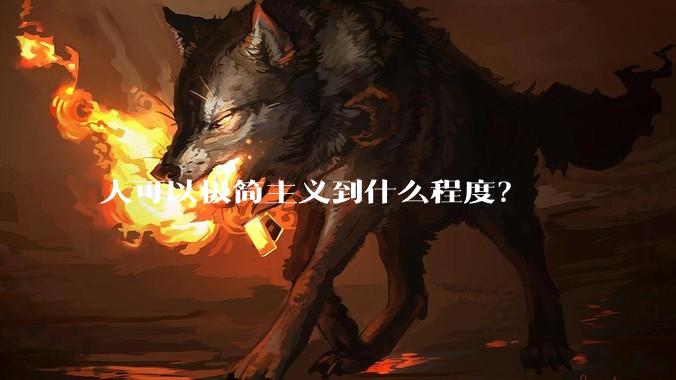 人可以极简主义到什么程度?