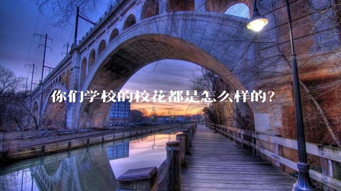 你们学校的校花都是怎么样的?