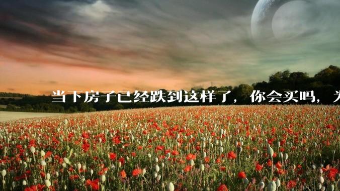 当下房子已经跌到这样了,你会买吗,为什么?