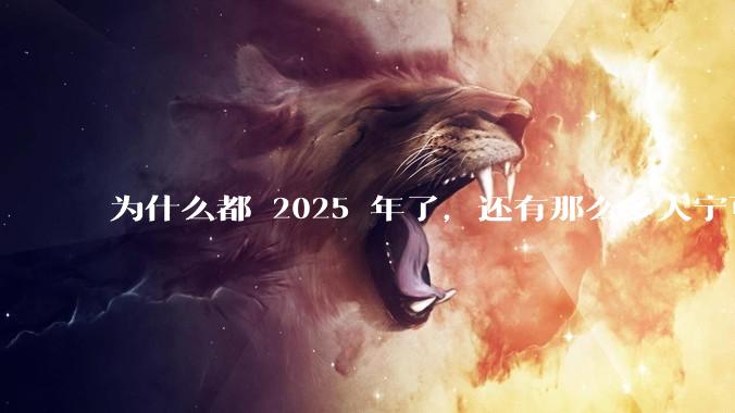 为什么都 2025 年了,还有那么多人宁可双持,也不愿意放弃安卓或非安卓手机?