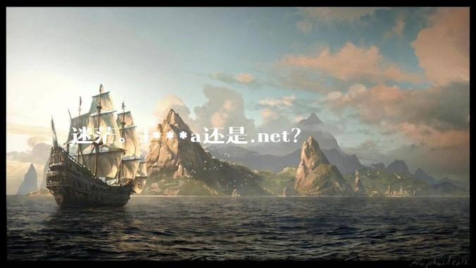 迷茫。J***a还是.net?