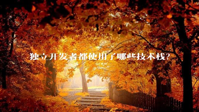 独立开发者都使用了哪些技术栈?