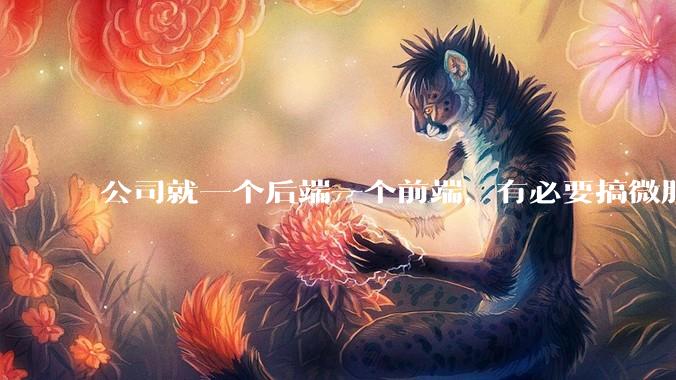 公司就一个后端一个前端,有必要搞微服务吗?