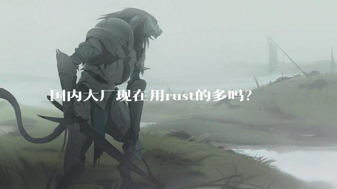 国内大厂现在用rust的多吗?