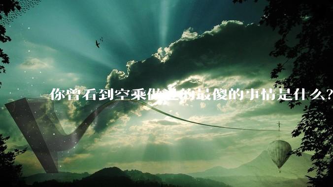 你曾看到空乘做过的最傻的事情是什么?