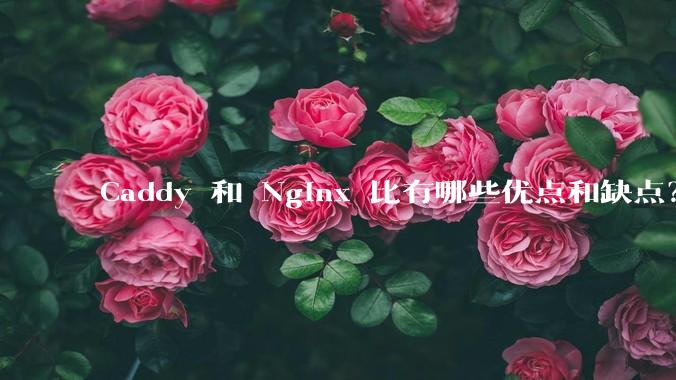 Caddy 和 Nginx 比有哪些优点和缺点?