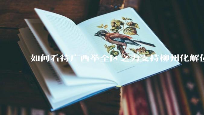 如何看待广西举全区之力支持柳州化解债务?为什么最近地方债又重回公众视野?