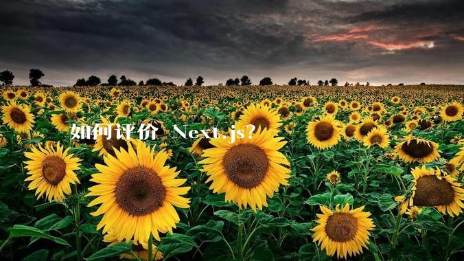 如何评价 Next.js?
