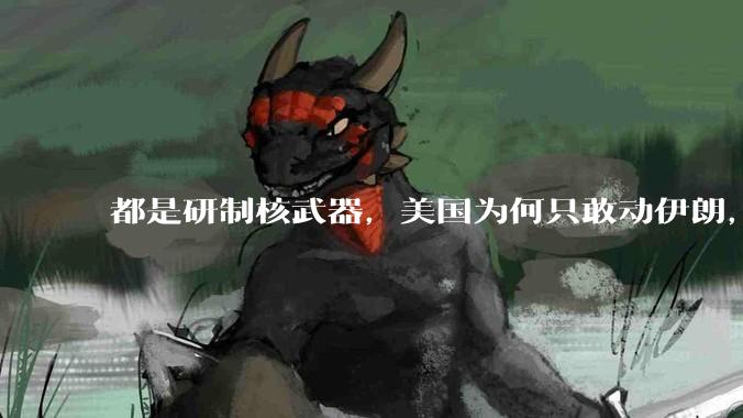 都是研制核武器,美国为何只敢动伊朗,对朝鲜却畏首畏尾?