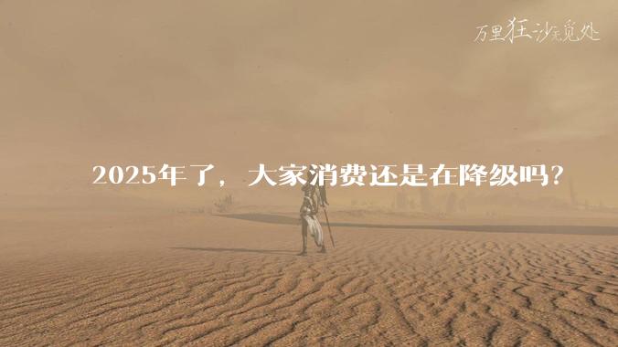 2025年了,大家消费还是在降级吗?
