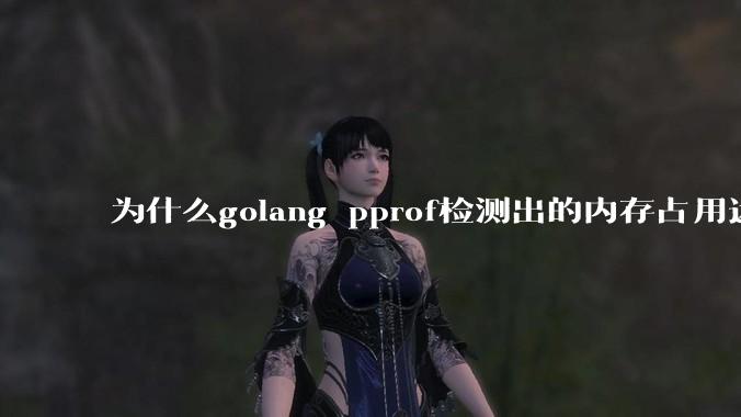 为什么golang pprof检测出的内存占用远小于top命令查看到的内存占用量?