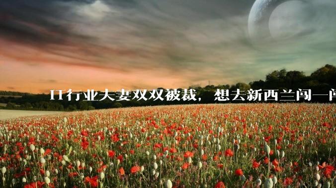 IT行业夫妻双双被裁,想去新西兰闯一闯可以吗?