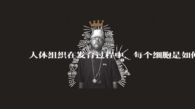 人体组织在发育过程中,每个细胞是如何确定自己在宏观结构是的位置的?