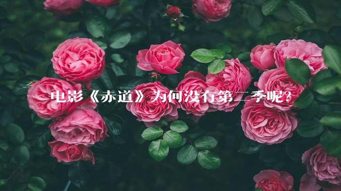 电影《赤道》为何没有第二季呢?