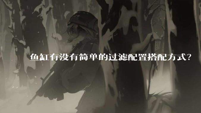 鱼缸有没有简单的过滤配置搭配方式?