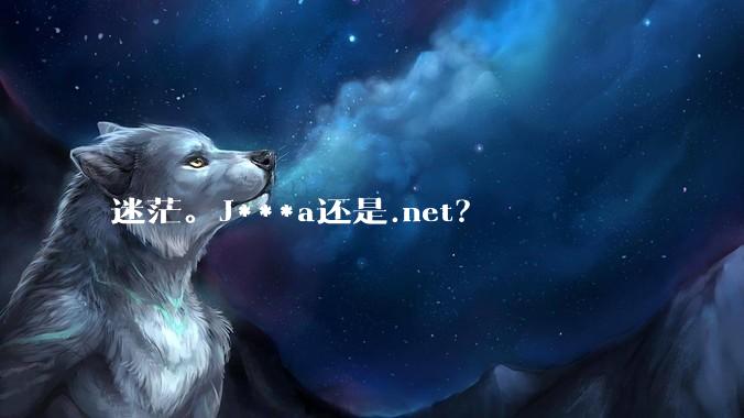 迷茫。J***a还是.net?