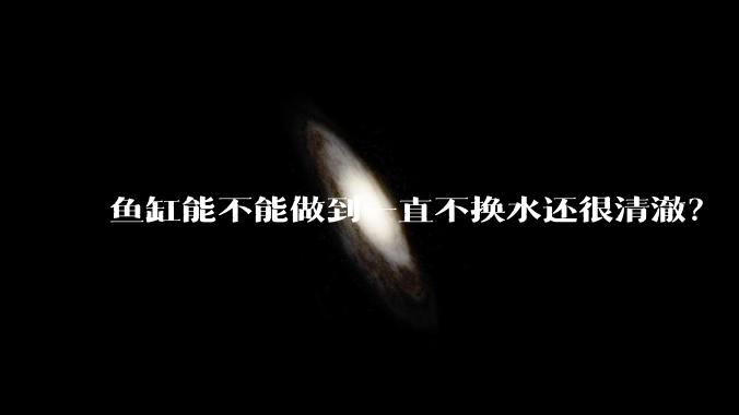 鱼缸能不能做到一直不换水还很清澈?