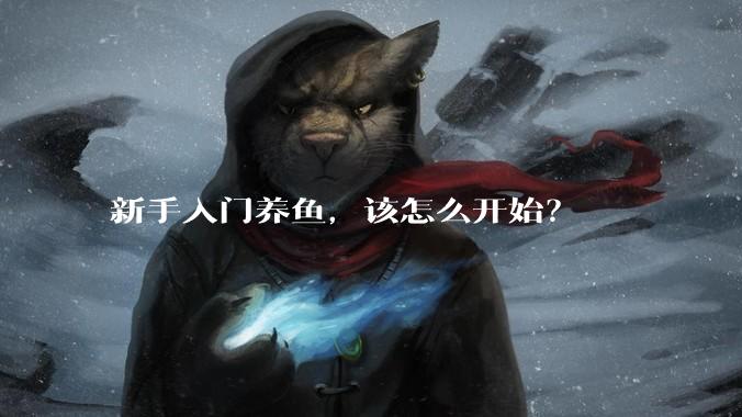 新手入门养鱼,该怎么开始?