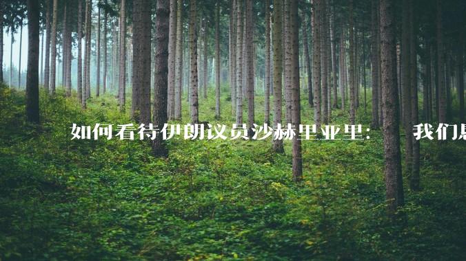 如何看待伊朗议员沙赫里亚里:  我们恳求最高领袖批准使用核武器?