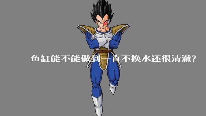 鱼缸能不能做到一直不换水还很清澈?