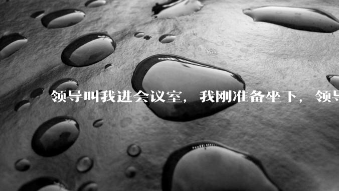 领导叫我进会议室,我刚准备坐下,领导说你站那儿讲就行,我认为这是对我的侮辱,甩门就走了,有错吗?