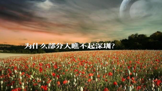 为什么部分人瞧不起深圳?