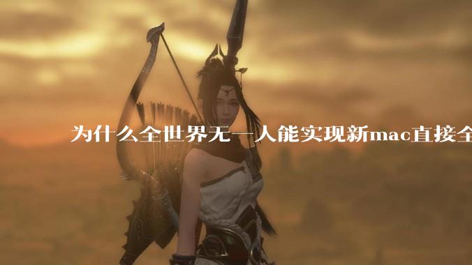为什么全世界无一人能实现新mac直接全功能稳定装Win 11 arm,或PC直接装macOS arm?