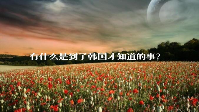 有什么是到了韩国才知道的事?
