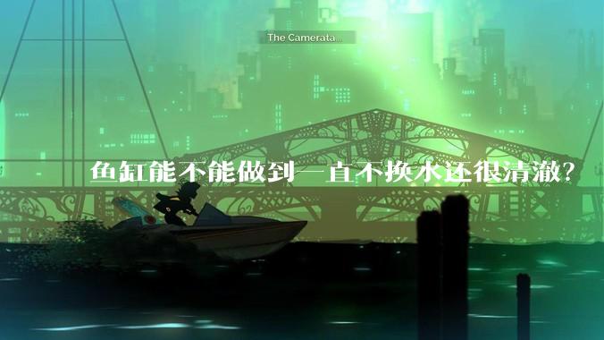 鱼缸能不能做到一直不换水还很清澈?