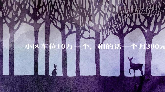 小区车位10万一个,租的话一个月300元,还有必要买车位吗?