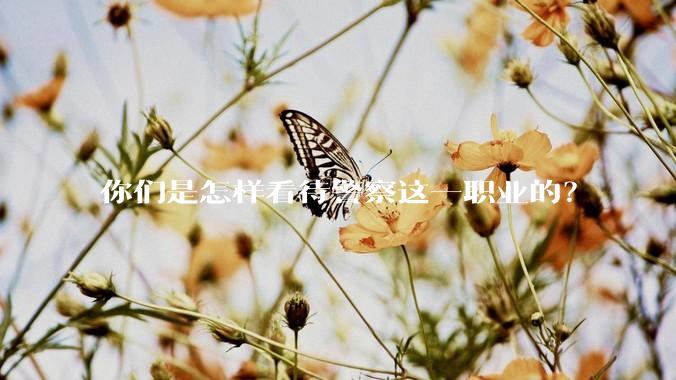 你们是怎样看待警察这一职业的?