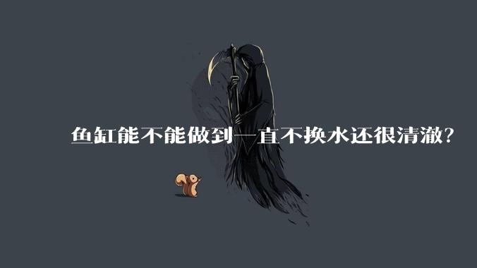 鱼缸能不能做到一直不换水还很清澈?