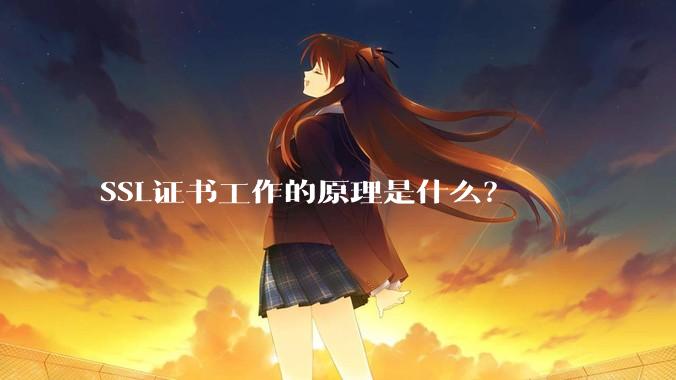 SSL证书工作的原理是什么?