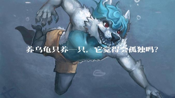 养乌龟只养一只,它觉得会孤独吗?