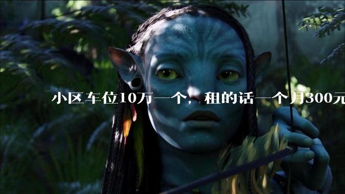 小区车位10万一个,租的话一个月300元,还有必要买车位吗?