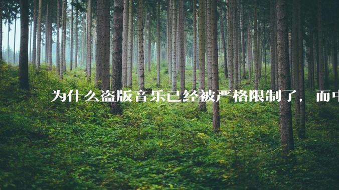 为什么盗版音乐已经被严格限制了,而中国音乐却还是没有发展起来?