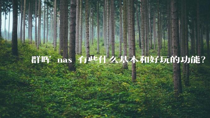 群晖 nas 有些什么基本和好玩的功能?