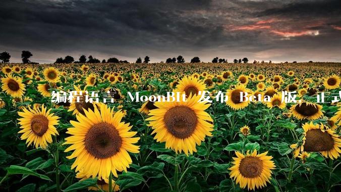 编程语言 MoonBit 发布 Beta 版,正式进入企业场景应用,会带来哪些影响?