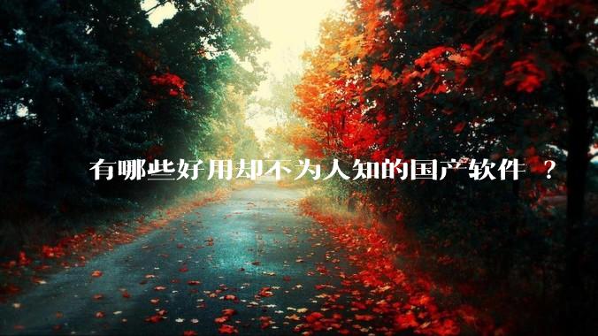 有哪些好用却不为人知的国产软件 ?