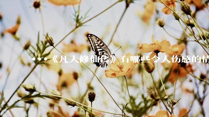 ***《凡人修仙传》有哪些令人伤感的情节?