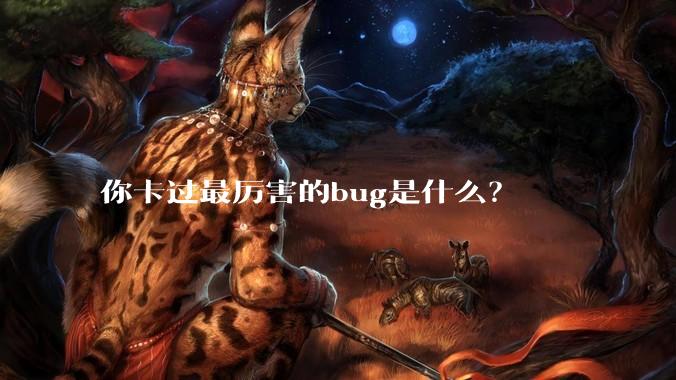 你卡过最厉害的bug是什么?