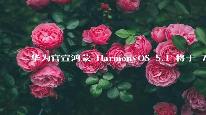 华为官宣鸿蒙 HarmonyOS 5.1 将于 7 月开启升级,对此你怎么看?会选择第一时间升级吗?