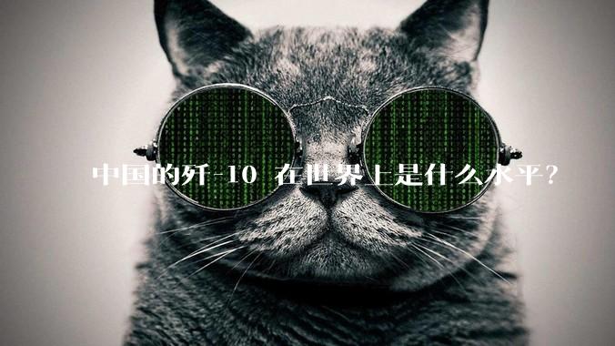 中国的歼-10 在世界上是什么水平?