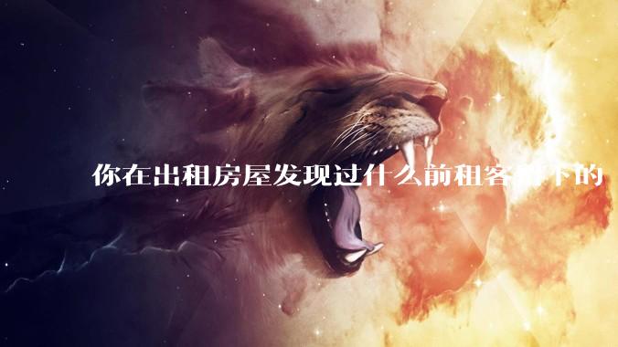 你在出租房屋发现过什么前租客留下的“宝藏”?