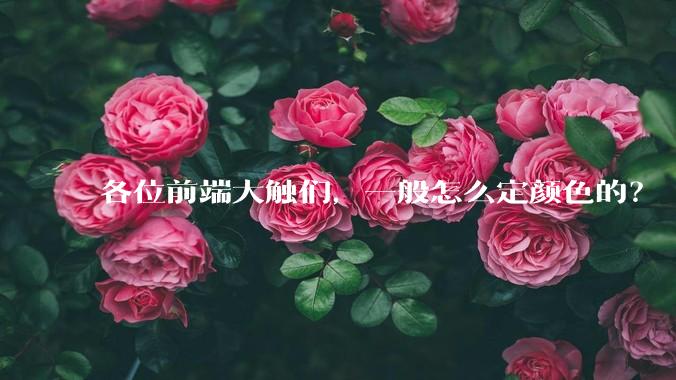 各位前端大触们,一般怎么定颜色的?