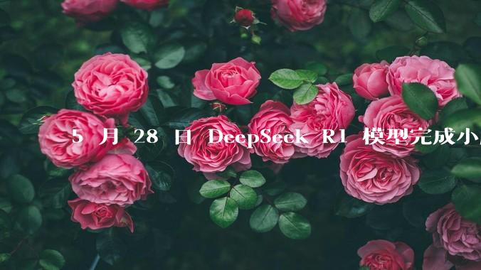 5 月 28 日 DeepSeek R1 模型完成小版本试升级并开源,具体有哪些提升?使用体验如何?