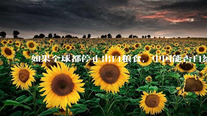 如果全球都停止出口粮食,中国能否自给自足?