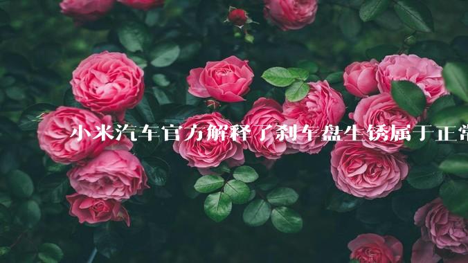 小米汽车官方解释了刹车盘生锈属于正常现象,并提供了两种除锈功能,这些措施是否足够有效?